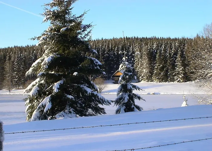 Hotel Le Progres Dorlotel