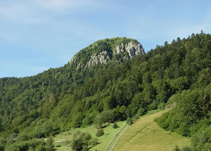 Le Progres Dorlotel Hotel 2*