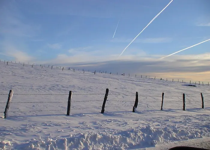 Hotel Le Progres Dorlotel 2*