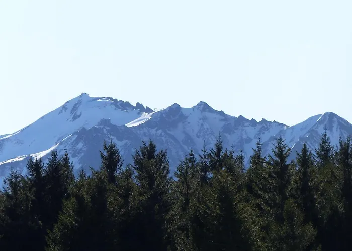 Hotel Le Progres Dorlotel 2*