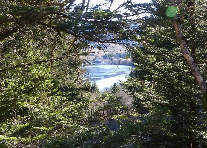 Hotel Le Progres Dorlotel